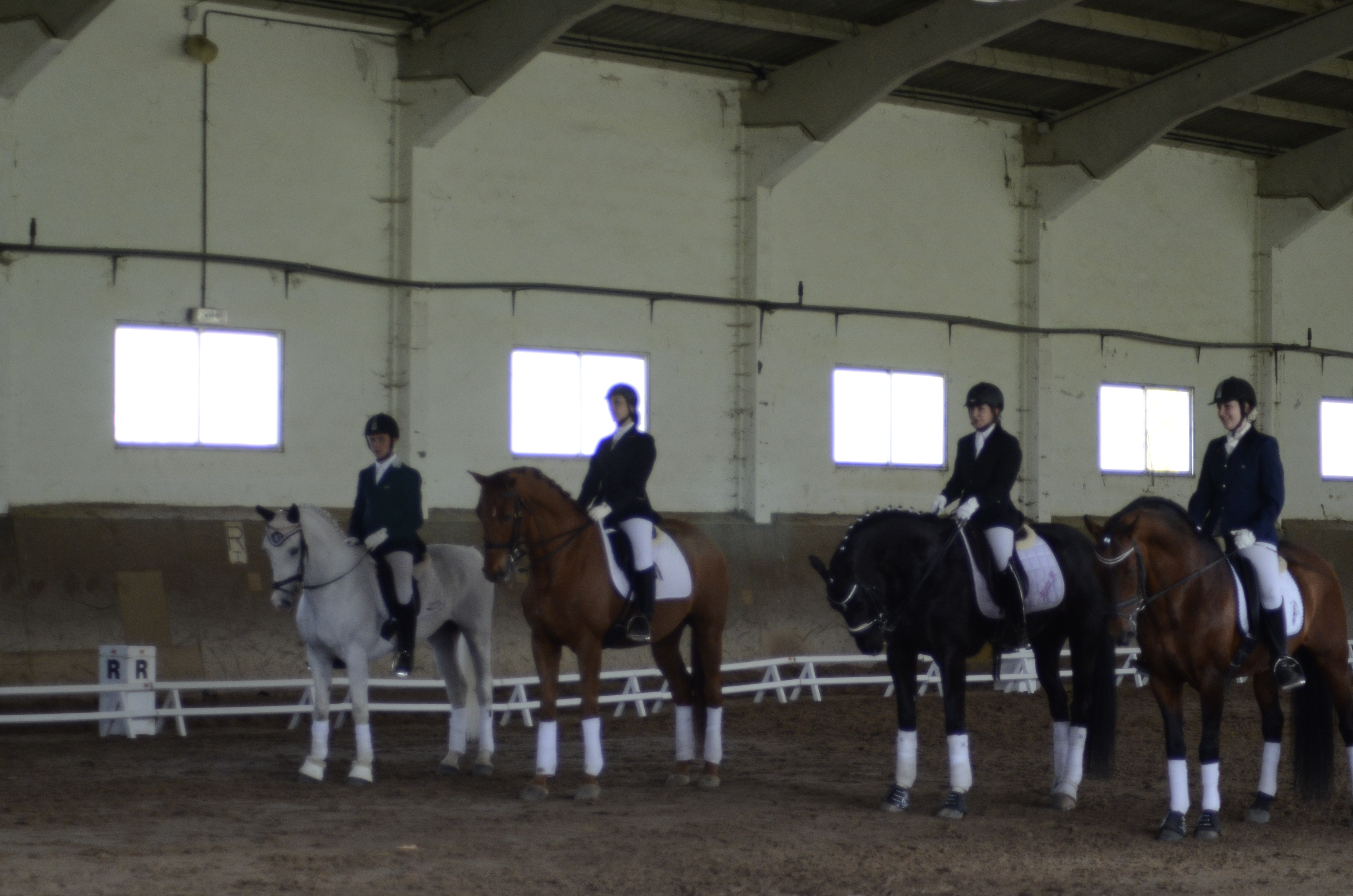 Clasificación 2ª fase Liga Navarra Doma Clásica Niveles 1-5 y JJDD 2014